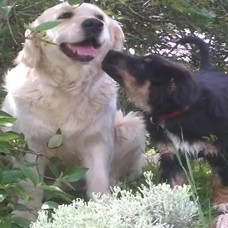 Σπίτι διακοπών With Views *