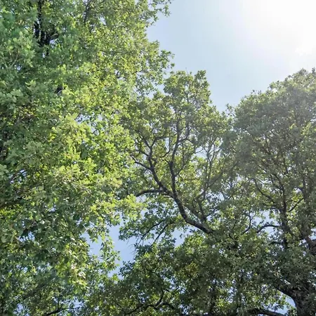 With Views * San Savino (Magione)